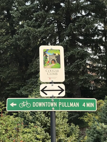 Cougar climb sign