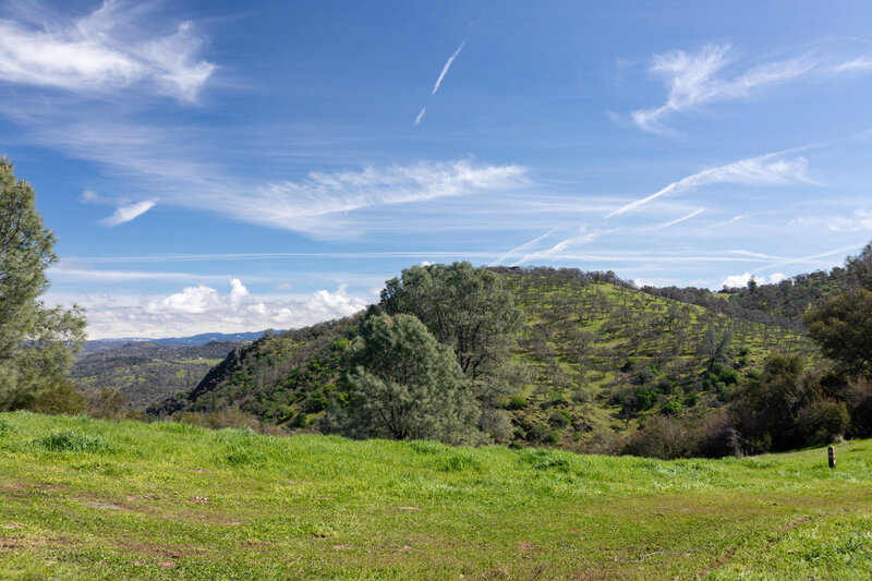 View from Gale Ridge across Fletcher Gulch.