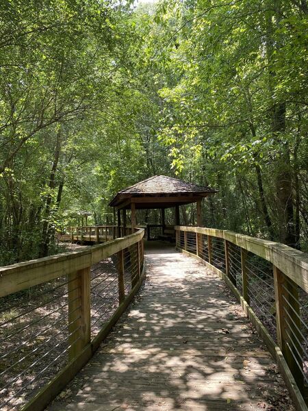 Boardwalk leading to the Town Creek Park pond.