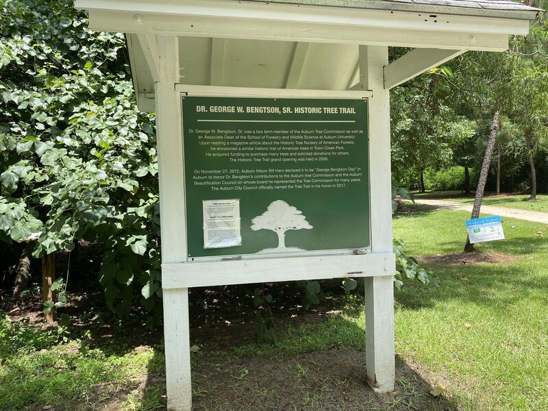 Informational sign about the Dr. George W. Bengtson, Sr. Historic Tree Trail.