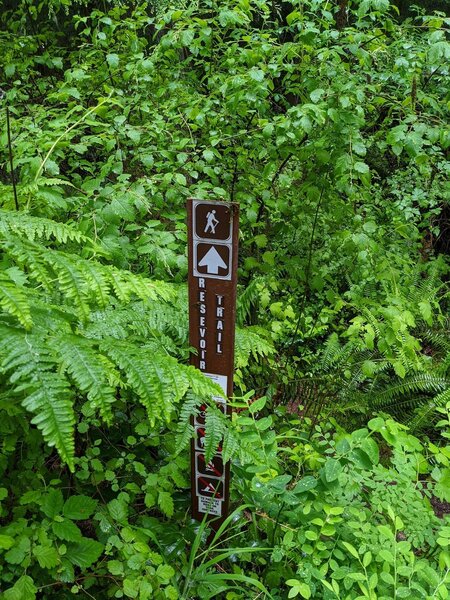 Reservoir Trail Marker.