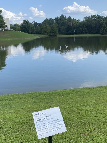 An outdoor sculpture in a pond along the Jule Collins Smith Museum Path.