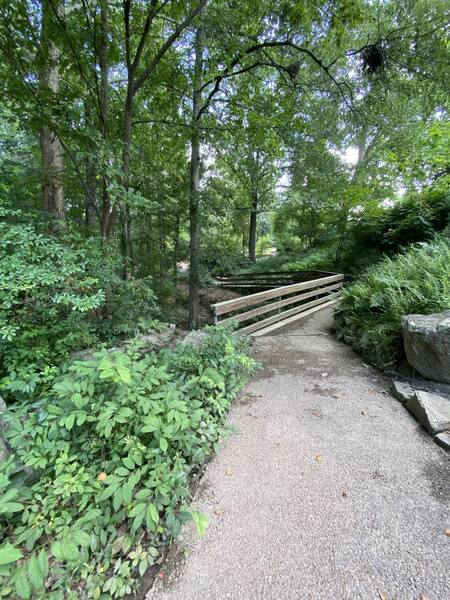 Top of the small waterfall along the Donald E. Davis Arboretum Outer Rim Trail.