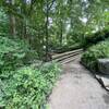 Top of the small waterfall along the Donald E. Davis Arboretum Outer Rim Trail.