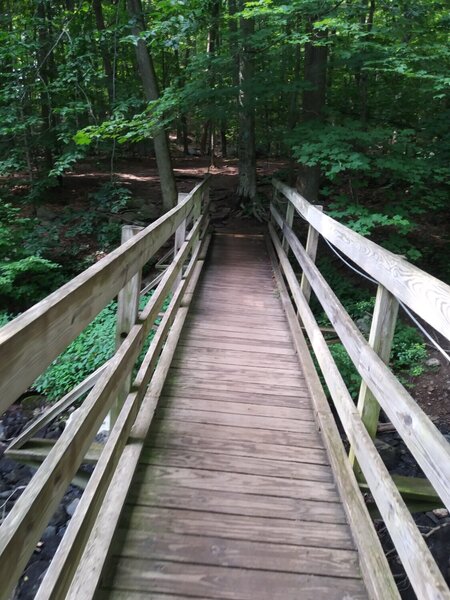 Shortly after starting on the trail you come to this bridge.