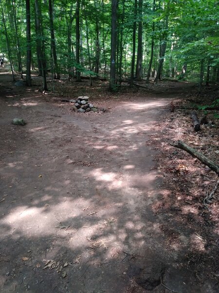 Most of the trail is blue, but after the bridge you come to a fork (both blue) go right to get to the orange trail.