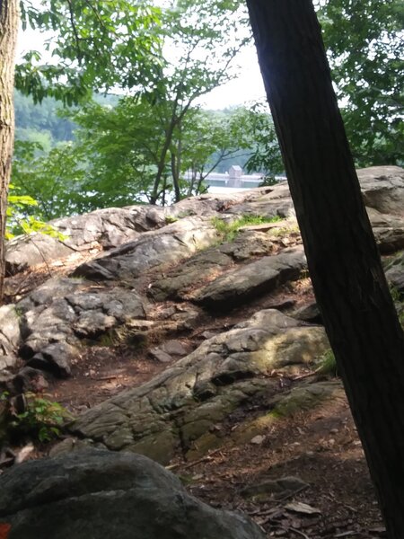 Lots of boulders to climb, with a few of the reservoir.