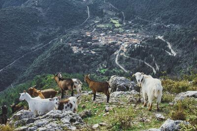 Eglouvi village from Profitis Ilias.