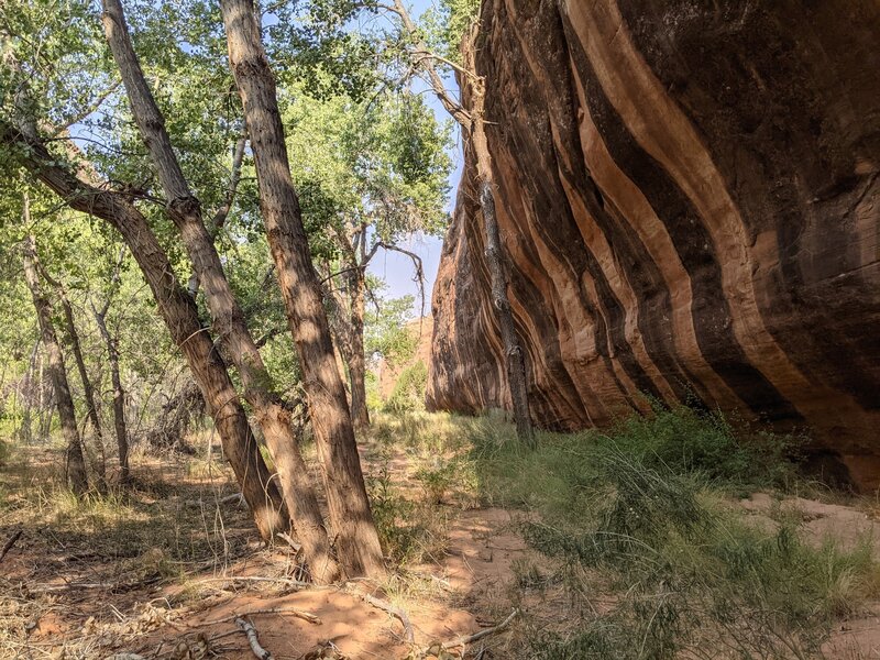 One of the really nice and runnable parts of the trail.