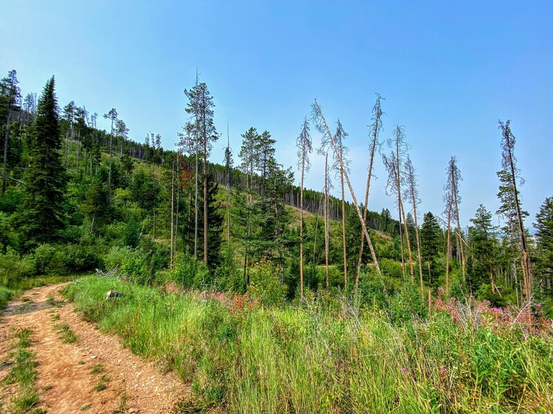 Open space on the trail