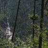 Cascade from trail.