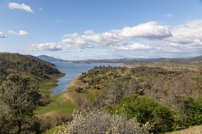 The southern tip of New Melones Lake.