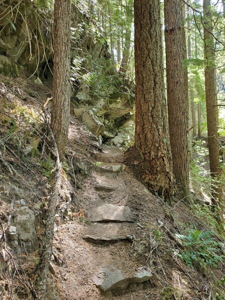 Rock steps on steep sections.