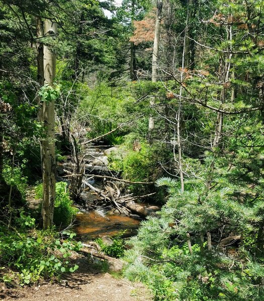 West Cisneros Trail runs along Custer Creek.