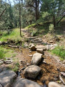 Typical boulder-sized stepping stones to cross the water.