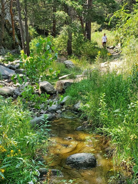 In August, the water dries up and gets sluggish the closer you get to the trailhead.