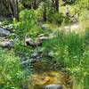 In August, the water dries up and gets sluggish the closer you get to the trailhead.