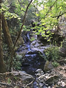 Limpy Creek