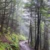 Charles Bunion Trail - even pretty to hike during rain.