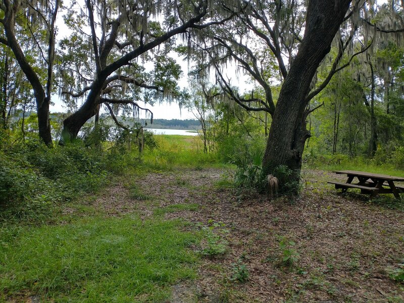 Shaded view of Moss Lee Lake, with picnic table.