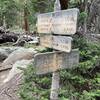 The biggest intersection on the North Fork Trail.