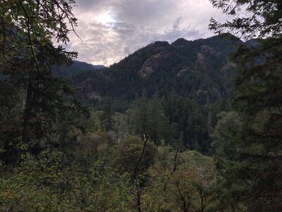 Looking across the Elwha