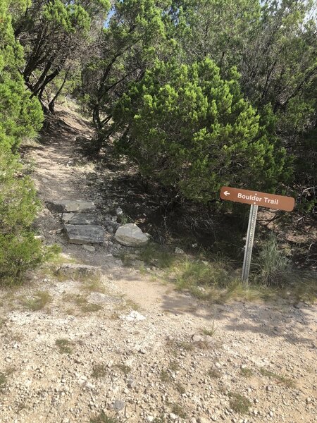 Hiking on the new trail with a few more challenging spots than the other trails here.