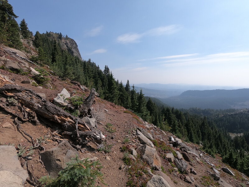 View east along Shirley Lake trail near PCT junction.