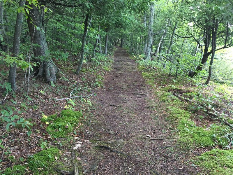 Wide trail most of the time.