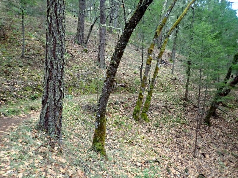 The ditch trail just south of Panther Gulch.