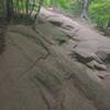 Rock Face in the middle of the trail - you have to hike several sections like this, some even steeper.