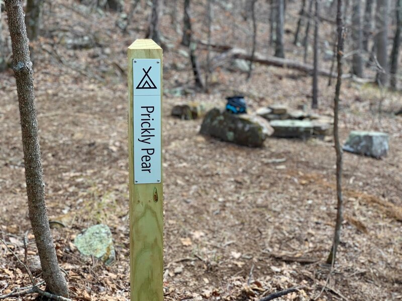 Sign marking the Prickly Pear backcountry campsite.