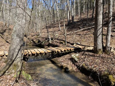 Small bridge over a stream.