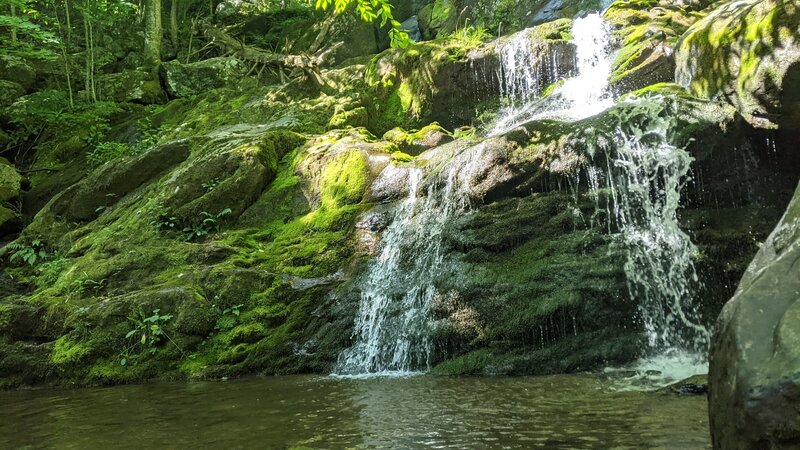 Dark Hollow Falls Viewpoint.