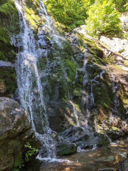 Dark Hollow Falls Upper Viewpoint.