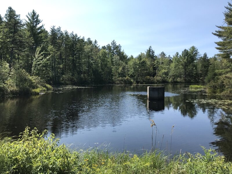 View of Little Clay Pond.