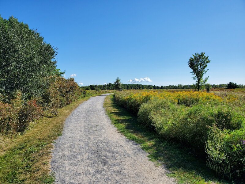 Grasslands on trail 5.