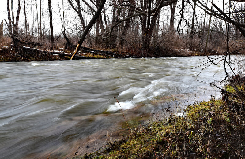 January Thaw at Ellicott Creek  (Amherst (NY) State Park).