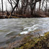 January Thaw at Ellicott Creek  (Amherst (NY) State Park).