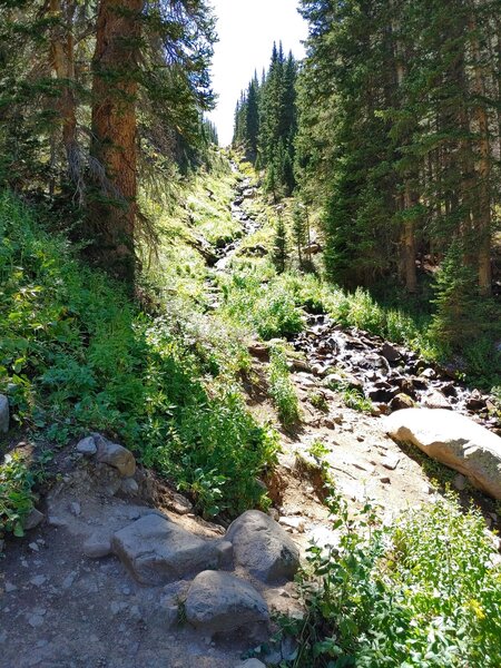 Butler Gulch stream.