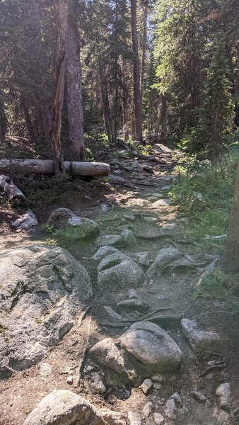 Increasingly rocky eroded trail as you approach the lake.