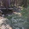 Increasingly rocky eroded trail as you approach the lake.