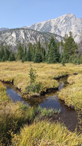 A pleasant alpine meadow surprise after passing the turnoff to Deep Lake.