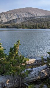 View from NW Hollowtop Lake after being shut down by blowdown in our attempt to get to Deep Lake.