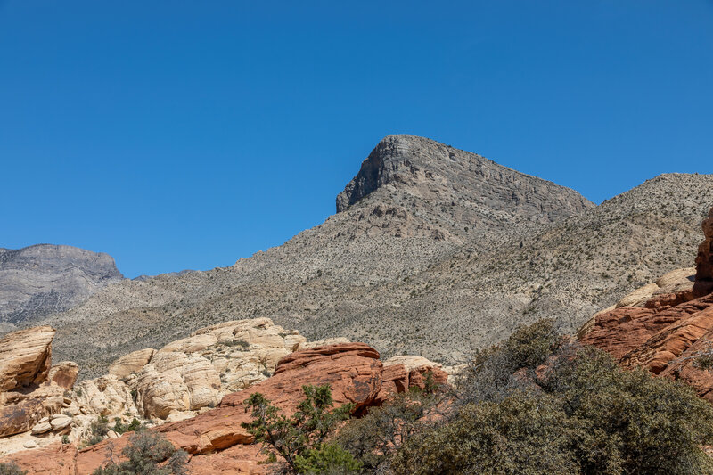 Turtlehead Peak from Calico Tanks Trail.