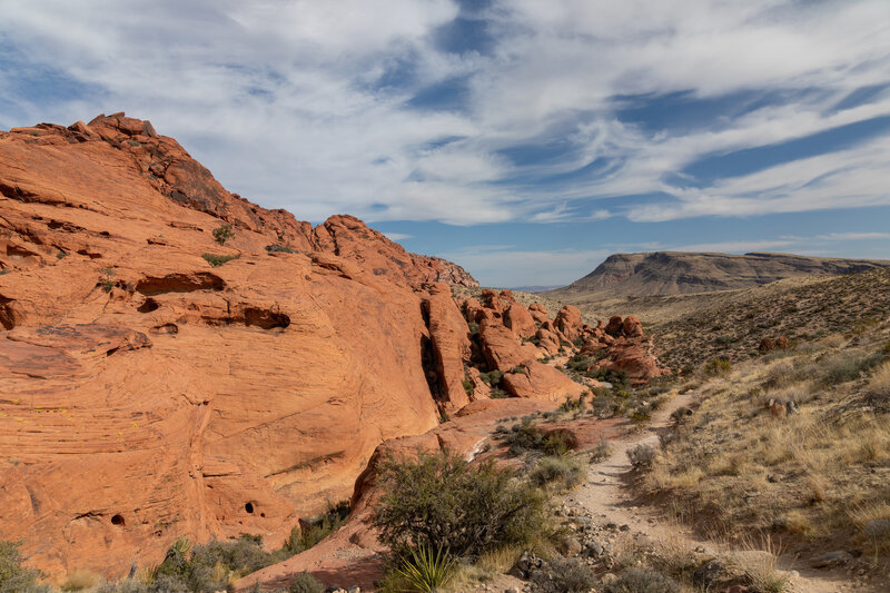 The namesake red rock lining the bottom of Calico Hills.