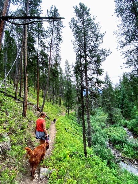 Cutting an edge above the creek.