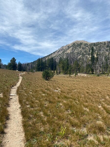 Jackson Peak trail.