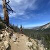 Bridger-Teton NationalForest.