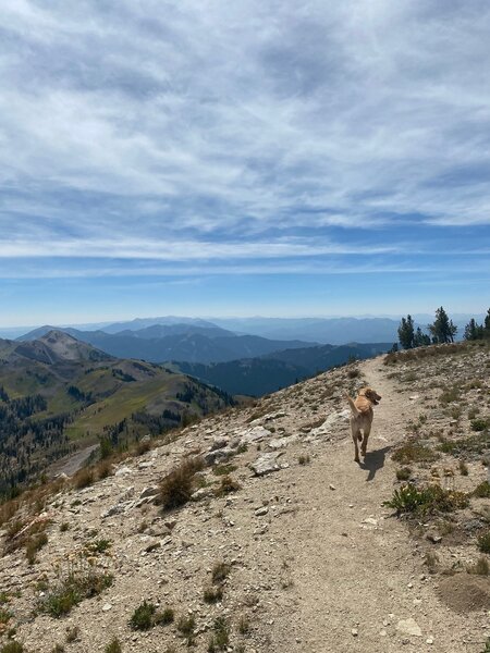 Hank on Jackson Peak Trail.